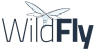 wildfly-logo (1)